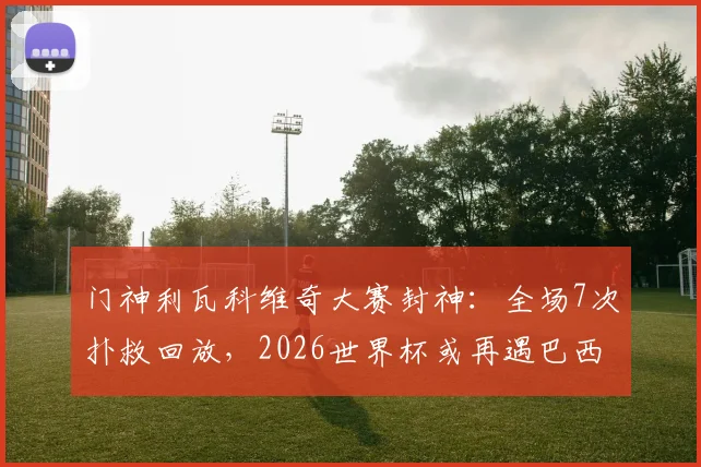 门神利瓦科维奇大赛封神:全场7次扑救回放,2026世界杯或再遇巴西能否复制神迹?