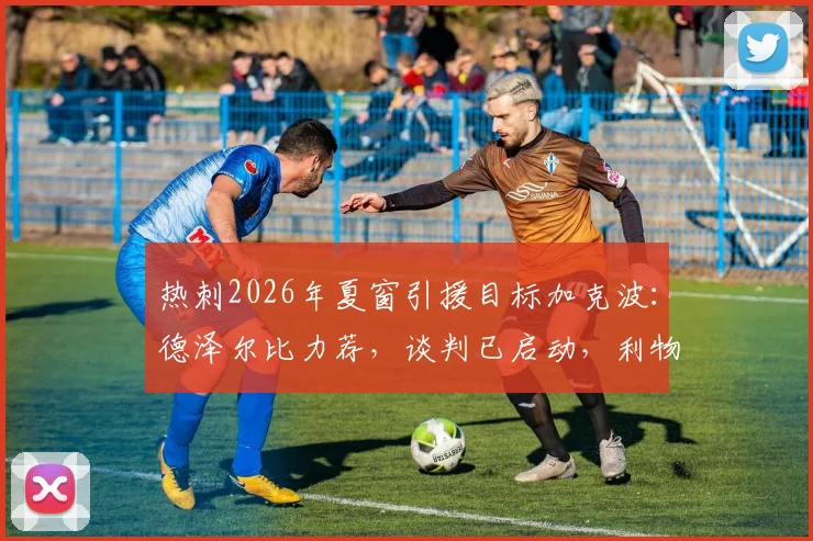 热刺2026年夏窗引援目标加克波：德泽尔比力荐，谈判已启动，利物浦态度与转会费成关键
