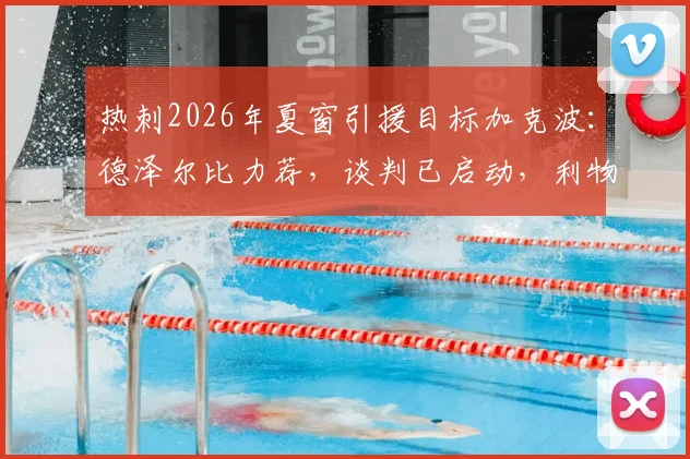 热刺2026年夏窗引援目标加克波:德泽尔比力荐,谈判已启动,利物浦态度与转会费成关键