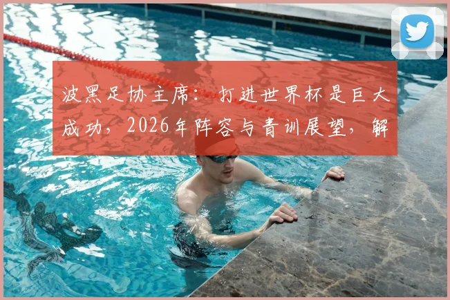 波黑足协主席:打进世界杯是巨大成功,2026年阵容与青训展望,解读战术核心与足协改革之路