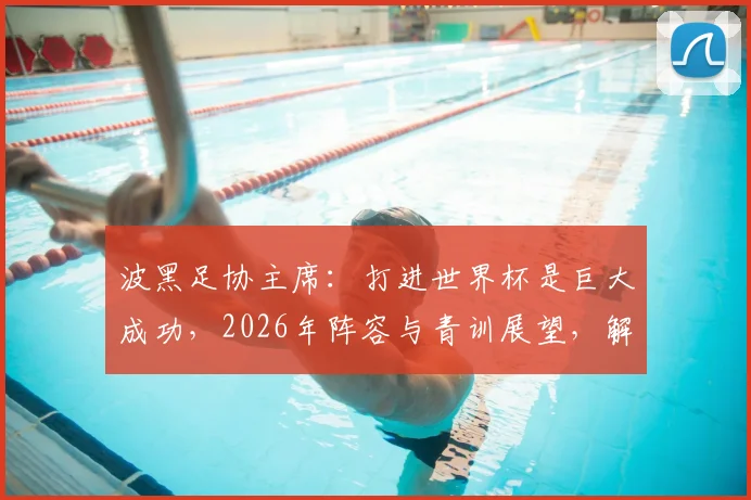 波黑足协主席：打进世界杯是巨大成功，2026年阵容与青训展望，解读战术核心与足协改革之路